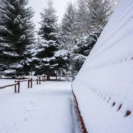 Teodora * Kopaonik